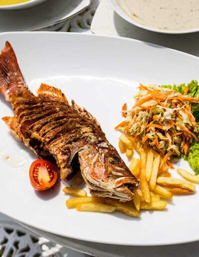 houseonthebend dinning 8 houseonthebend dinning 8